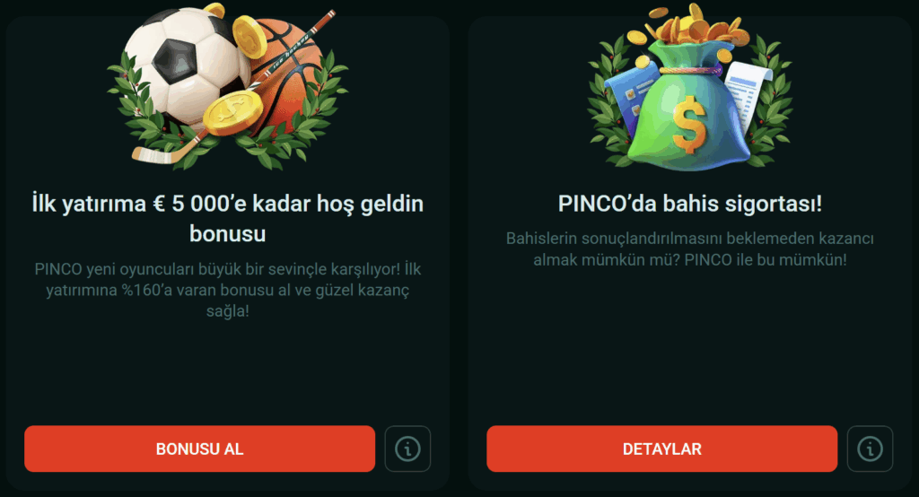 Pin-Up Casino tanıtımının önizlemesi #3